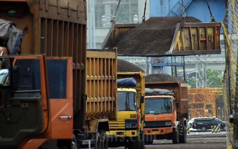 Aktivitas bongkar muat cangkang sawit di Pelabuhan Teluk Bayur Padang, Sumatra Barat, Senin (27/6/2022).  Bea Cukai mencatat sepanjang tiga tahun terakhir ekspor cangkang sawit di Indonesia tumbuh seiring dengan permintaan pasar global. Terhitung mulai tahun 2019, volume ekspor cangkang sawit tercatat 2,858 juta ton dengan nilai US$188,114 juta atau setara Rp2,61 triliun. Di tahun 2022 ini ekspor cangkang sawit diprediksi sampai 6,2 juta ton. Jepang saat ini menjadi pangsa pasar terbesar cangkang sawit Indonesia. /Bisnis-Noli Hendra