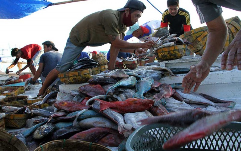 Sejumlah nelayan memilah ikan hasil tangkapannya di Pangkalan Pendaratan Ikan (PPI) Paotere di Makassar, Sulawesi Selatan, Selasa (28/6/2022). Kementerian Peikanan dan Kelautan (KKP) mencatat penyaluran KUR sektor kelautan dan perikanan hingga Mei 2022 telah mencapai Rp3,95 triliun atau 44,38 persen dari target sebesar Rp8,9 triliun pada tahun ini. ANTARA FOTO/Arnas Padda