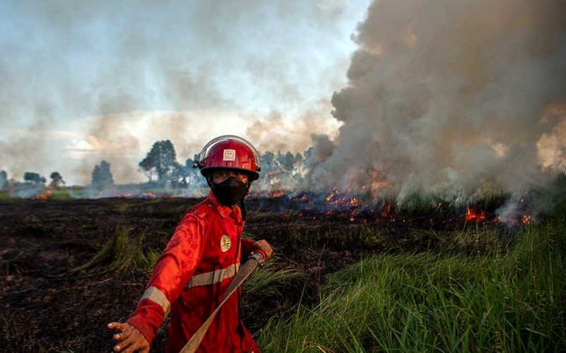 Petugas Manggala Agni Daops Banyuasin berusaha memadamkan Kebakaran Lahan di Desa Sukarame, Pemulutan Barat, Ogan Ilir (OI), Sumatra Selatan, Selasa (28/6/2022). Petugas dari Manggala Agni Daops Banyuasin berhasil memadamkan kebakaran lahan di daerah tersebut. ANTARA FOTO/Nova Wahyudi