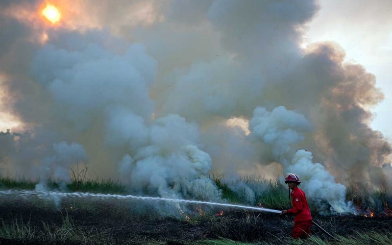 Petugas Manggala Agni Daops Banyuasin berusaha memadamkan Kebakaran Lahan di Desa Sukarame, Pemulutan Barat, Ogan Ilir (OI), Sumatra Selatan, Selasa (28/6/2022). Petugas dari Manggala Agni Daops Banyuasin berhasil memadamkan kebakaran lahan di daerah tersebut. ANTARA FOTO/Nova Wahyudi