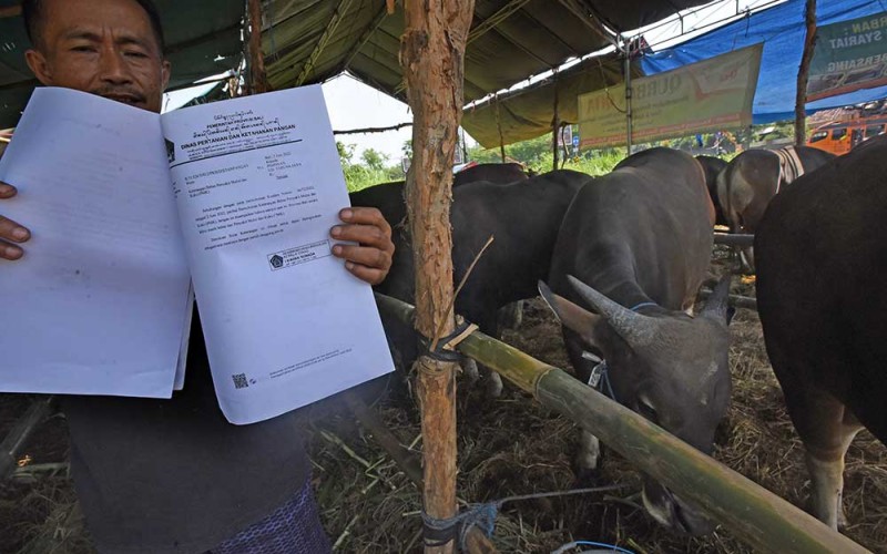 Pedagang hewan kurban memperlihatkan surat keterangan bebas penyakit PMK untuk hewan miliknya di sentra penjualan hewan kurban di Boru, Kota Serang, Banten, Kamis (30/6/2022). Menurut pedagang harga hewan kurban tahun ini naik dibanding tahun lalu seperti sapi dengan bobot sekitar 225 kg naik dari Rp18 juta menjadi Rp22 juta dan sapi dengan bobot sekitar 350 kg naik dari Rp22 juta menjadi Rp26 juta akibat terbatasnya pasokan karena adanya karantina wilayah untuk mencegah penyebaran penyakit mulut dan kuku (PMK). ANTARA FOTO/Asep Fathulrahman