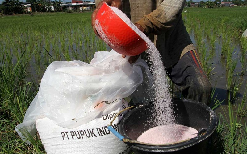 Petani menuang pupuk urea ke dalam ember sebelum ditaburkan di area Persawahan Somba Opu, Kabupaten Gowa, Sulawesi Selatan, Sabtu (2/7/2022). Pemerintah memfokuskan pemberian subsidi pupuk pada 2023 untuk dua jenis pupuk yakni urea dan NPK dari sebelumnya enam jenis pupuk yang yang mendapatkan subsidi. ANTARA FOTO/Arnas Padda