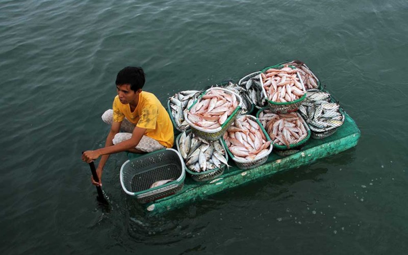 Nelayan mengangkut ikan hasil tangkapannya di kawasan Tempat Pelelangan Ikan (TPI) Beba, Kabupaten Takalar, Sulawesi Selatan, Minggu (7/8/2022). Harga ikan di Tempat Pelelangan Ikan (TPI) Beba, Kabupaten Takalar, Sulawesi Selatan mengalami kenaikan dari Rp250.000 - Rp400.000 per keranjang (25-35Kg) menjadi Rp350.000 - Rp600.000 per keranjang tergantung jenisnya akibat menurunnya hasil tangkapan. ANTARA FOTO/Arnas Padda