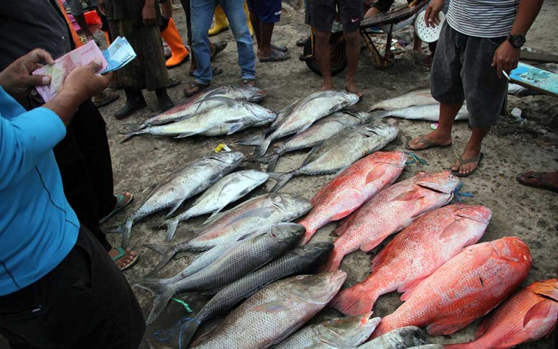 Pedagang ikan melayani pembeli di Tempat Pelelangan Ikan (TPI) Beba, Kabupaten Takalar, Sulawesi Selatan, Minggu (7/8/2022). Harga ikan di Tempat Pelelangan Ikan (TPI) Beba, Kabupaten Takalar, Sulawesi Selatan mengalami kenaikan dari Rp250.000 - Rp400.000 per keranjang (25-35Kg) menjadi Rp350.000 - Rp600.000 per keranjang tergantung jenisnya akibat menurunnya hasil tangkapan. ANTARA FOTO/Arnas Padda