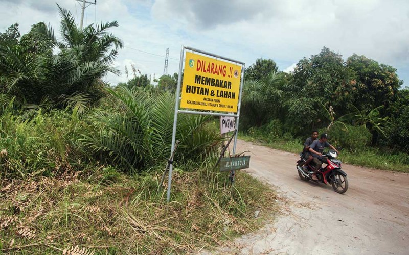 Foto udara truk melintas di areal lahan tanah gambut di kawasan Jalan Nasional Kalimantan Sebangau, Palangka Raya, Kalimantan Tengah, Selasa (9/8/2022). Berdasarkan data inventarisasi 2022 Kementerian Lingkungan Hidup dan Kehutanan (KLHK) mengungkapkan 83,4 persen atau total 24.231.720 hektare ekosistem gambut berstatus mengalami kerusakan dan hanya 16,61 persen atau 4.024.285 hektare dari ekosistem gambut berada dalam kondisi tidak rusak. ANTARA FOTO/Makna Zaezar