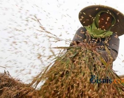 Bps Ubah Penghitungan Nilai Tukar Petani Ini Rumusnya Ekonomi Bisnis Com