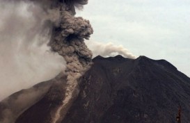 Gunung Sinabung Meletus, Kinerja Ekspor Sumut Trancam