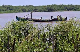 Telkom Grup Gelar Aksi Tanam Mangrove di Balikpapan