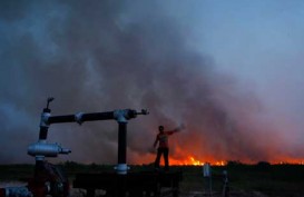 Kebakaran Hutan Riau Diusulkan Jadi KLB