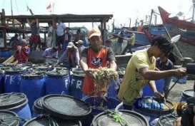Penyaluran Bantuan Nelayan Terdampak Bencana Akan Diatur