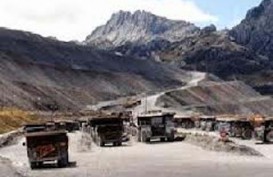 Ekspor Mineral Mentah Dilarang, Freeport Force Majeure