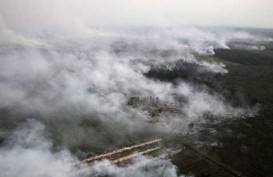 Kebakaran Hutan Riau: Kerugian Capai Rp10 Triliun
