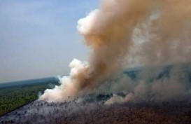 Kebakaran Hutan Riau: Titik Api Jadi 121 Titik