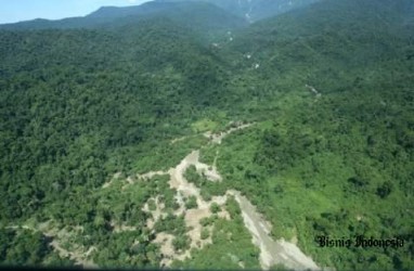 APP dan SMF Dukung Pengembangan Hutan Rendah Karbon