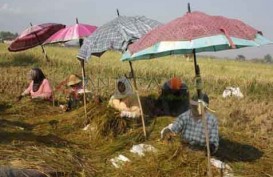 REFORMASI AGRARIA: Pemerintah Baru Diminta Jamin Ketersediaan Lahan Petani