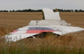 MH17 DITEMBAK JATUH DI UKRAINA: Korban Tewas 298 Orang. Ini Daftar WNI Termasuk Bayi