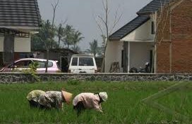 32.000 Hektare Lahan Pertanian Di Kab.Bandung 'Terlantar'