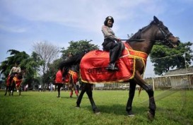 Pasukan Berkuda Turut Amankan Pelantikan Anggota DPR