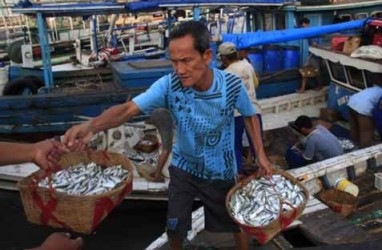 Gaji Menteri Kelautan Susi Pudjiastuti Diberikan untuk Asuransi Nelayan, Calon Penerima Masih Diinventarisir