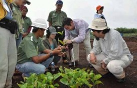 Pemerintah Sudah Memahami Kelebihan Hutan Riau