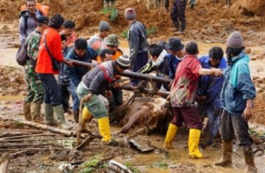 LONGSOR BANJARNEGARA: BNPB Temukan 79 Jenazah