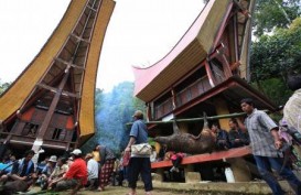 LOVELY DECEMBER, Ini Cara Tana Toraja Dongkrak Kunjungan Wisatawan