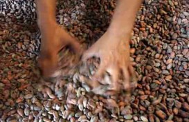 Salim Ivomas Pratama (SIMP) dan Daito Cacao Bentuk Usaha Patungan Bisnis Cokelat