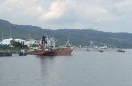 Indonesia Butuh Pelabuhan Khusus untuk Komoditas