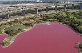 Danau di Australia Ini Berubah Menjadi Pink
