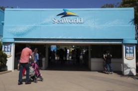 Perusahaan China Akuisisi 21% Saham SeaWorld