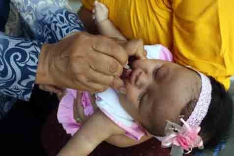 Imunisasi Bayi - Ilustrasi/Antara