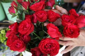 JELANG LEBARAN: Bunga Sedap Malam dan Mawar Jadi Most…