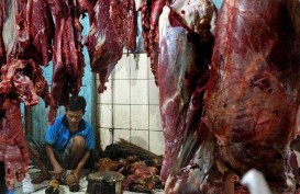 Harga Daging Sapi di Papua Rp145.000 per kg