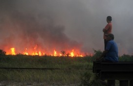 BNPB Catat Muncul 282 Titik Api