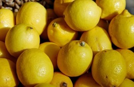 Manfaat Minum Air Lemon Setiap Pagi