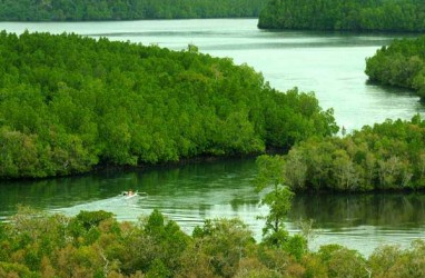 Menko Perekonomian Luncurkan Aturan Baru Percepatan Perbaikan Mangrove Indonesia