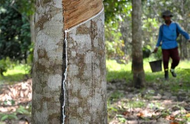 PRODUK KAYU : Samko Timber Group Pacu Produk New Wood