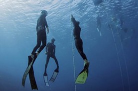 Free Dive, Olah Raga Super Ekstrem yang Kian Diminati