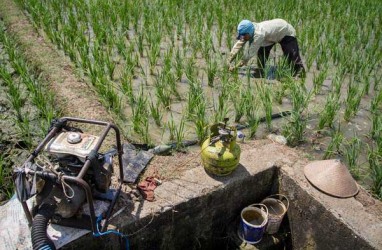 Pemkab Karawang Siapkan Asuransi Pertanian 70.000 Ha Sawah