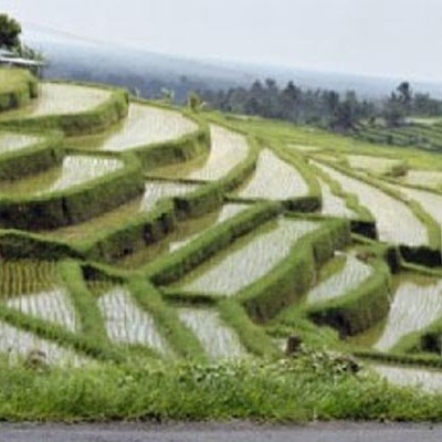 Kementerian Pupr Bakal Bangun Irigasi Hingga Sawah Petani Ekonomi Bisnis Com