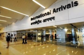 Jelang Kunjungan Netanyahu, Sapi Buat Heboh Bandara di India