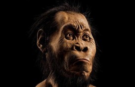 Fosil Homo Sapiens Tertua Ditemukan di Israel