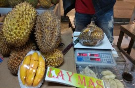 Selain Lezat, Simak Kandungan Vitamin Durian Kuning Kalimantan