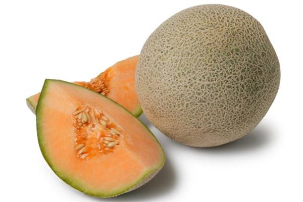 Rock Melon Austrlia - Istimewa