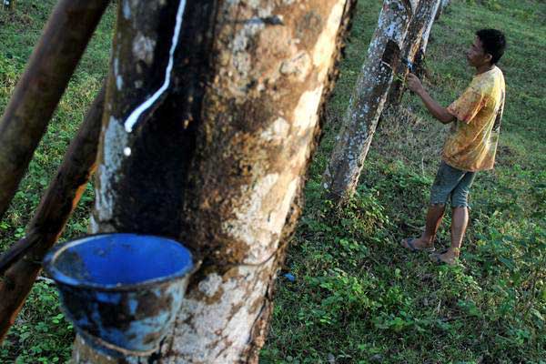 Petani menoreh pohon karet di kawasan perkebunan kebun karet Jawi jawi, Kabupaten Bulukumba, Sulawesi Selatan, Rabu (5/7). - ANTARA/Abriawan Abhe