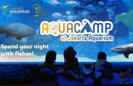 Unik, Jakarta Aquarium Hadirkan Aquacamp