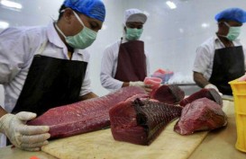 Agar Kantongi Harga Premium, Industri Tuna Diimbau Ikut Sertifikasi