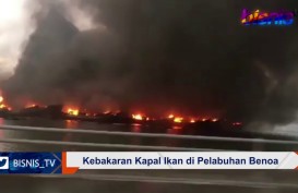 Kebakaran Pelabuhan Benoa Hanguskan 8 Kapal Tuna, Kerugian  Rp5 Miliar Per Kapal