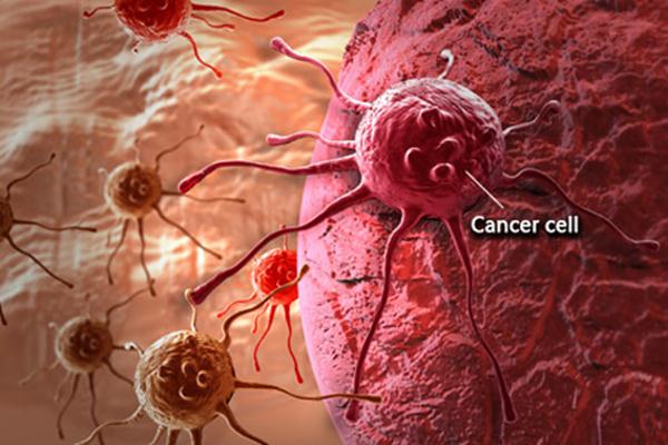 Roche Luncurkan Obat Kanker Payudara, Trastuzumab, dengan Formulasi Baru 
