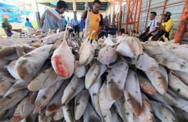 Inflasi Babel: TPID dan Satgas Pangan Kawal Harga Komoditas Ikan-Ikanan